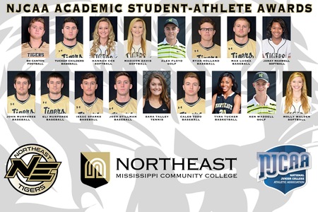 Student-athletes representing six Northeast athletic programs received academic accolades from the NJCAA for the 2016-17 school year.